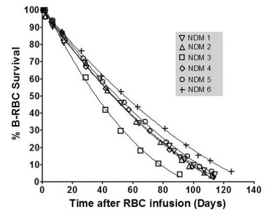 Red cell life span heterogeneity in hematologically normal people is sufficient to alter HbA1c