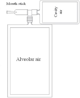 Relationship between glycated haemoglobin concentration and erythrocyte survival in type 2 diabetes mellitus determined by a modified carbon monoxide breath test