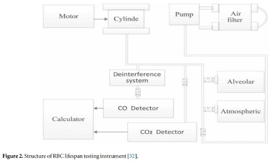 A pilotstudy: effect of erythrocyte lifespan determined by a modified…