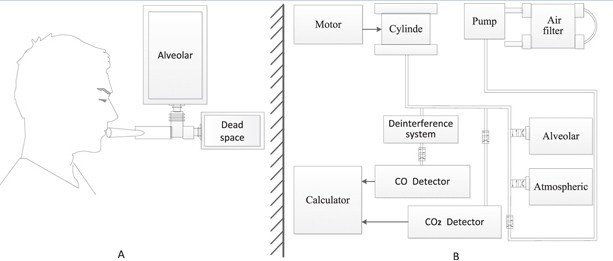 Human erythrocyte lifespan measured by Levitt's CO breath test with newly developed automatic instrument