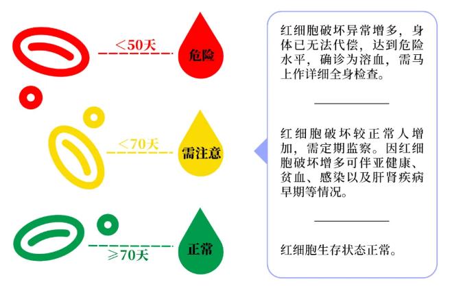 紅細胞壽命參考區(qū)間